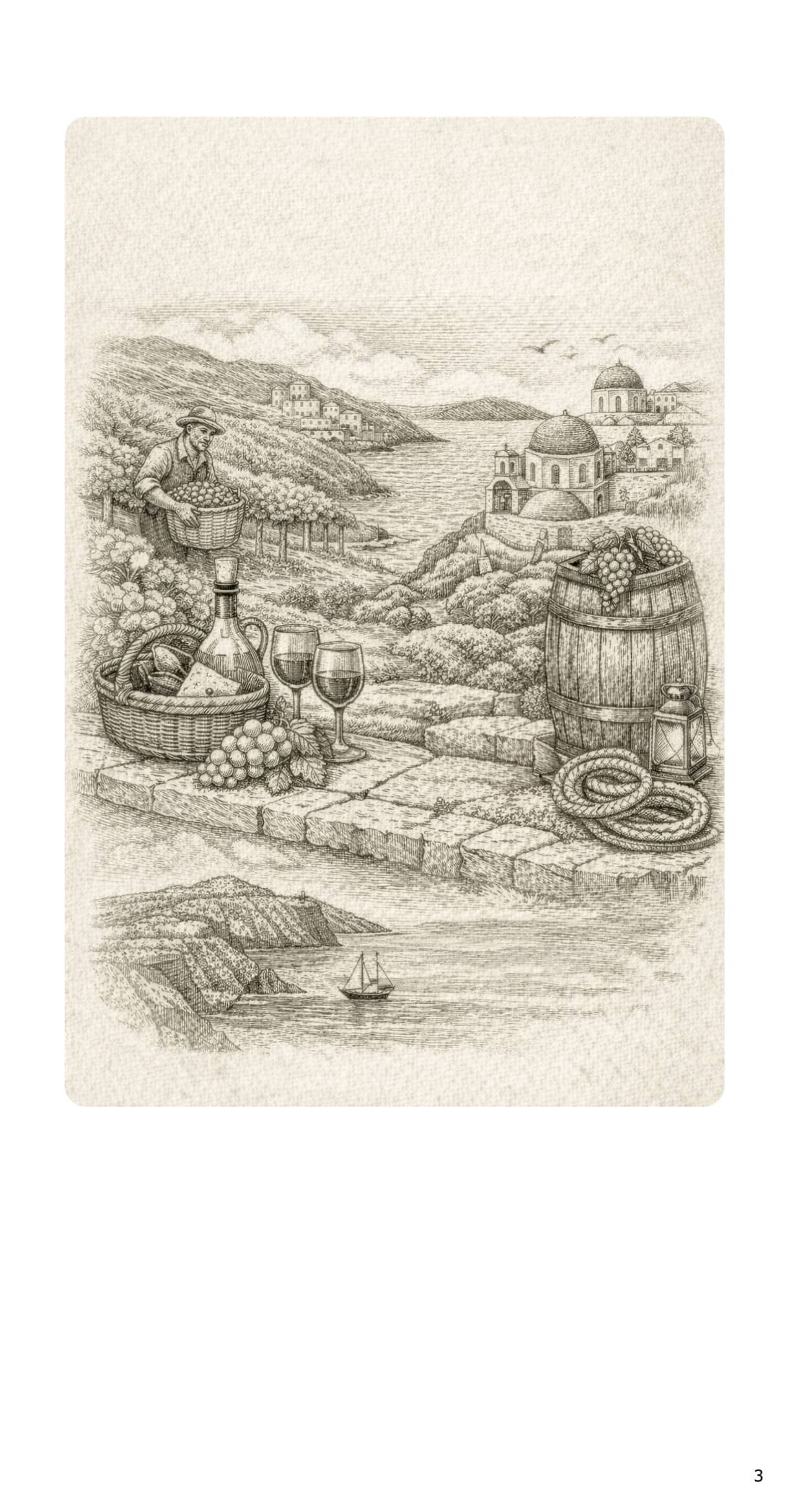 WINE COLLECTION -3